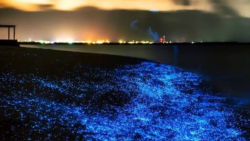 الدموع الزرقاء على شواطئ جزر تايوان